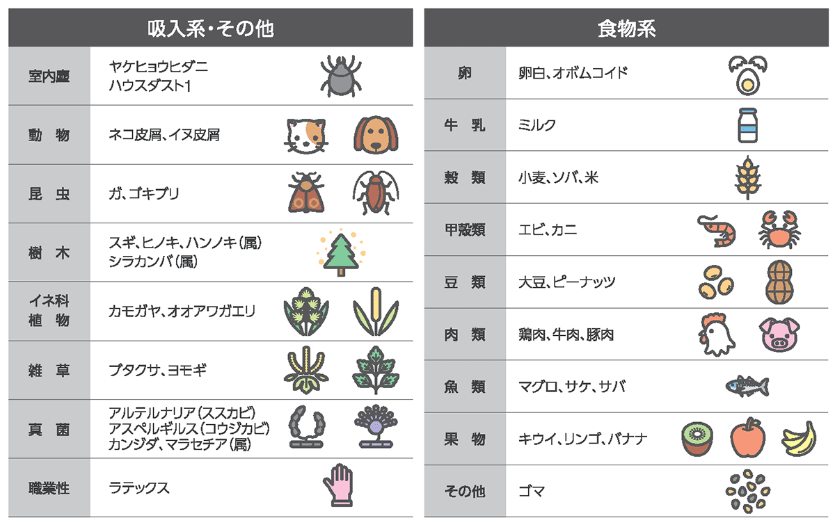 吸入系アレルゲンと食物系アレルゲンの図