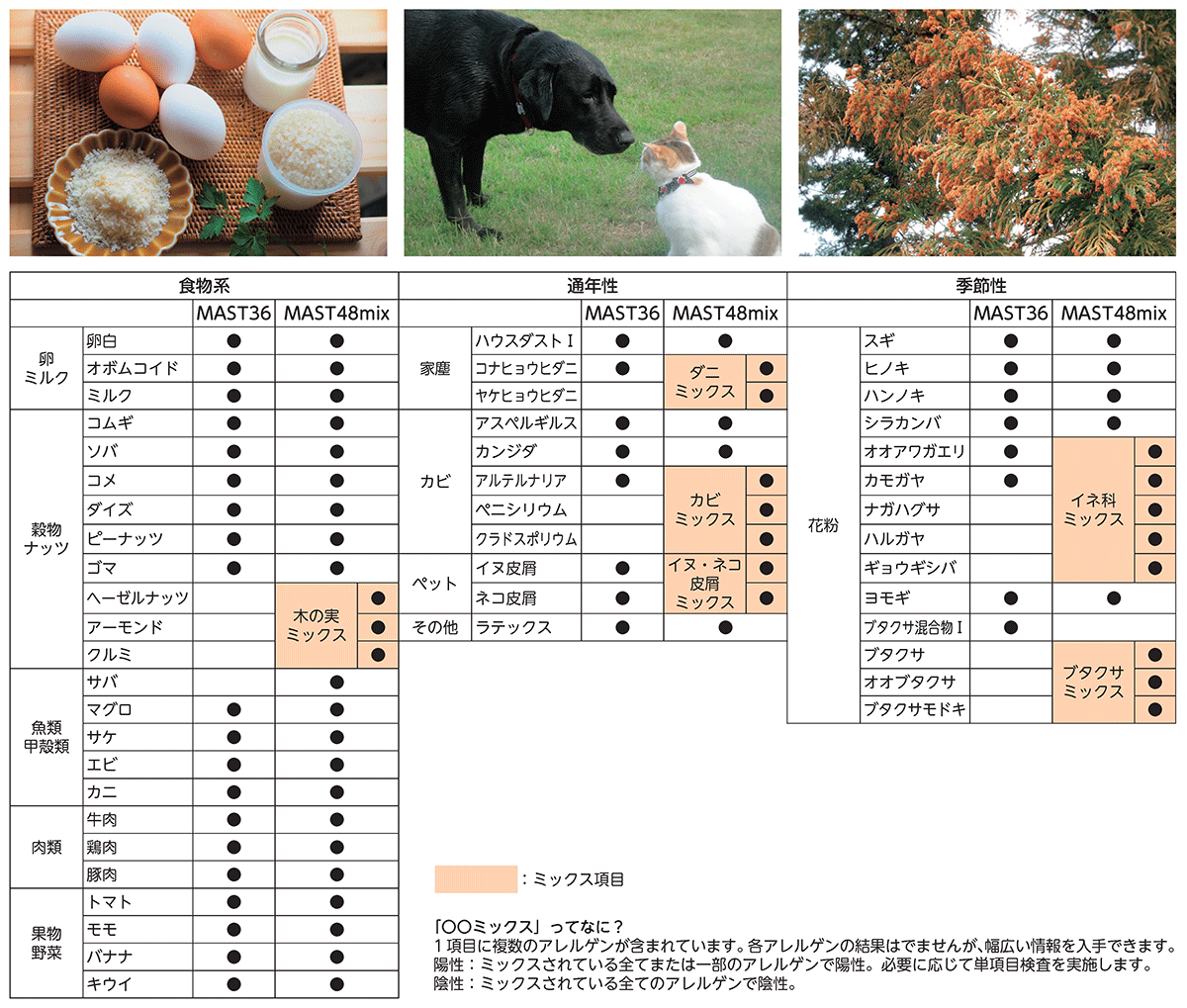 MAST48mixの図